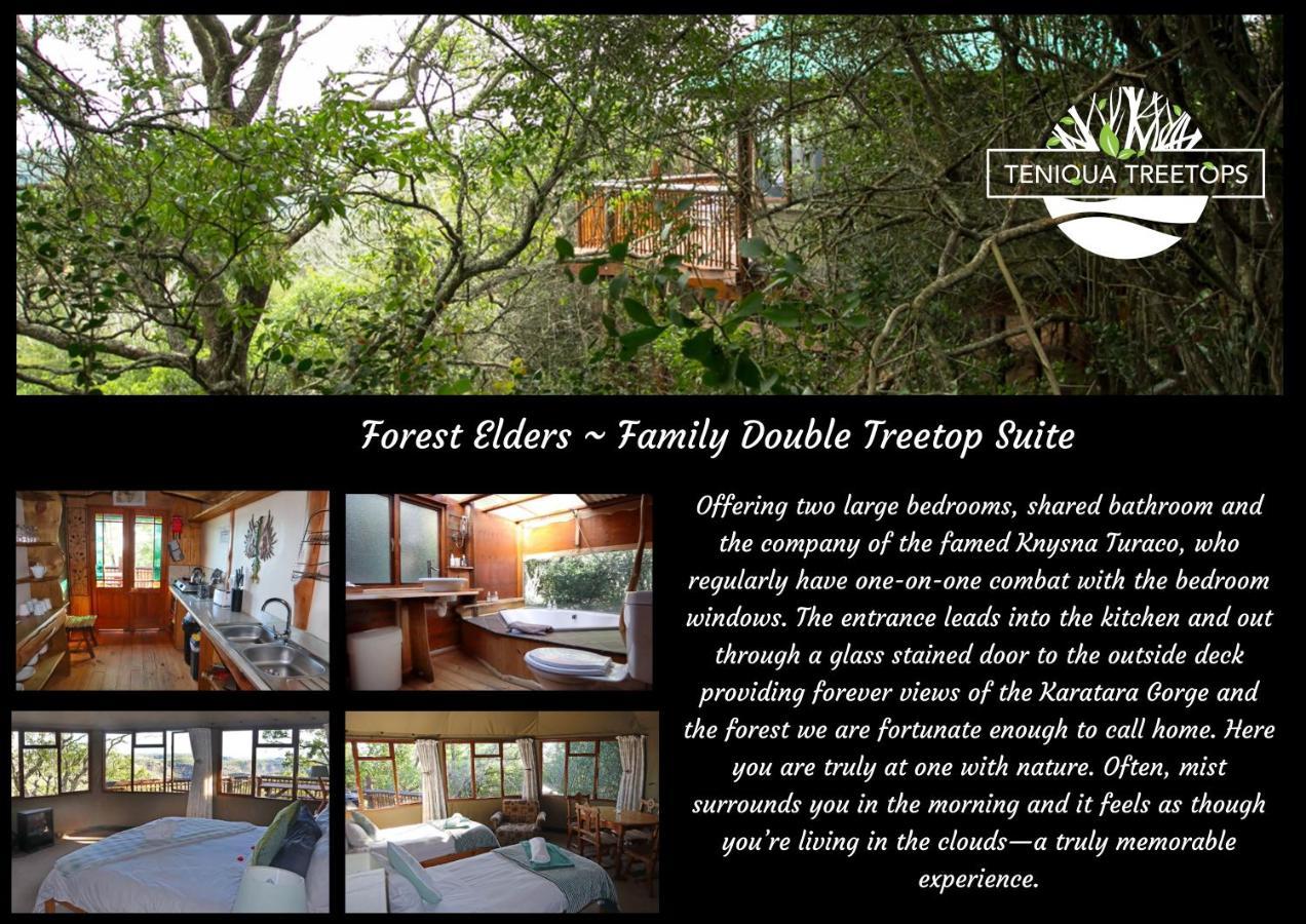 Teniqua Treetops Karatara Settlement Buitenkant foto