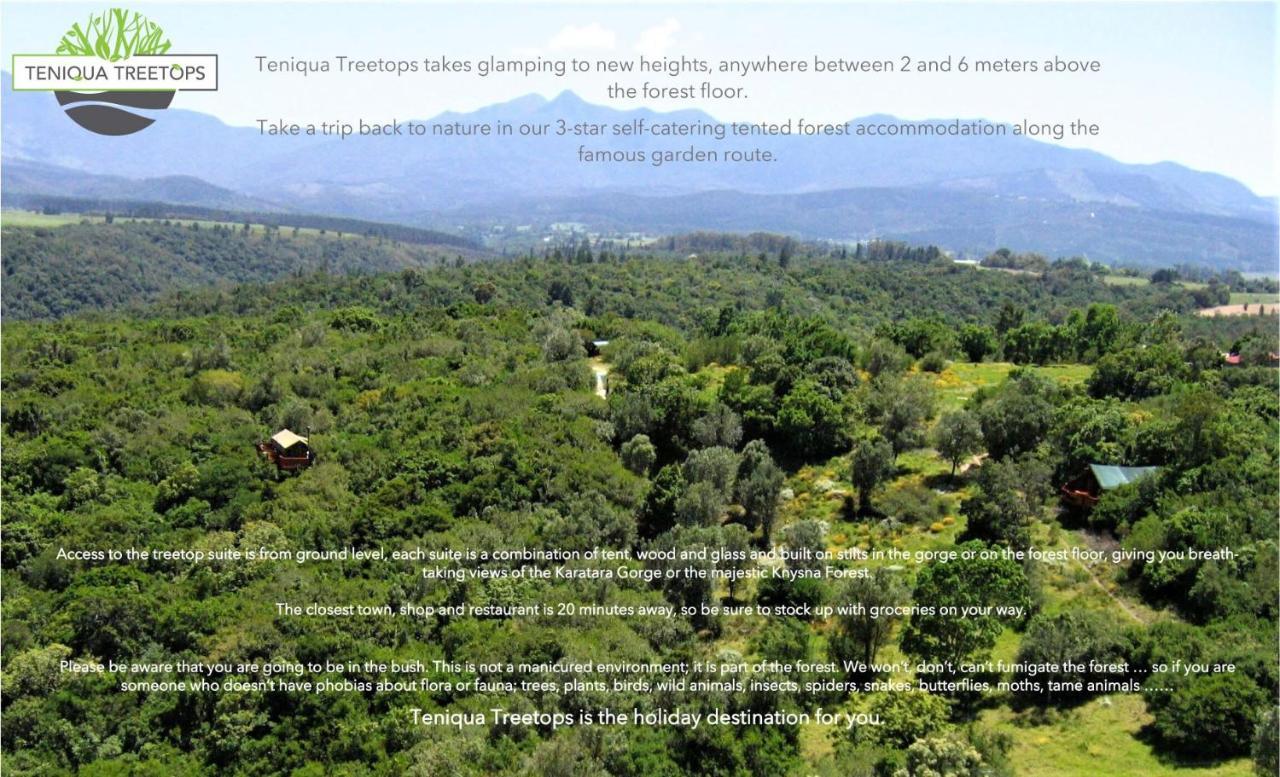 Teniqua Treetops Karatara Settlement Buitenkant foto