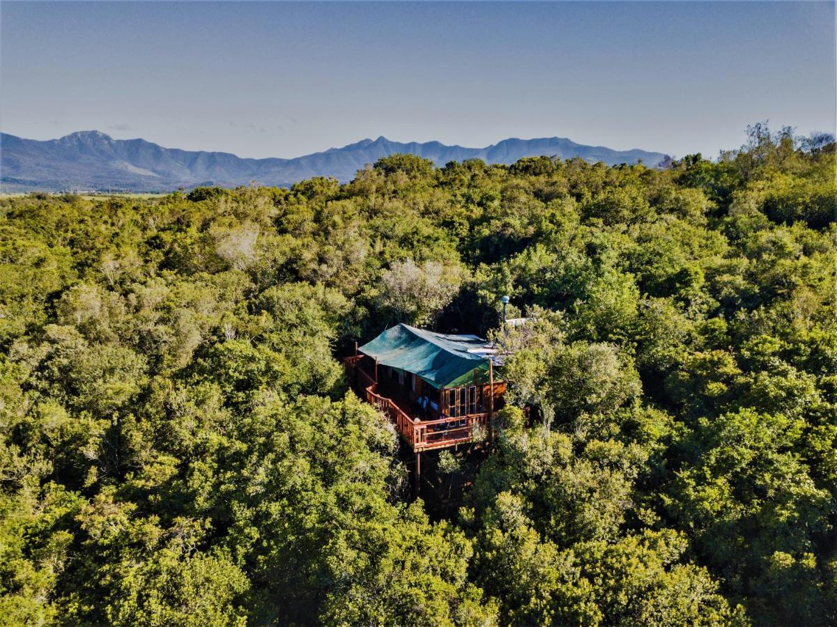 Teniqua Treetops Karatara Settlement Buitenkant foto