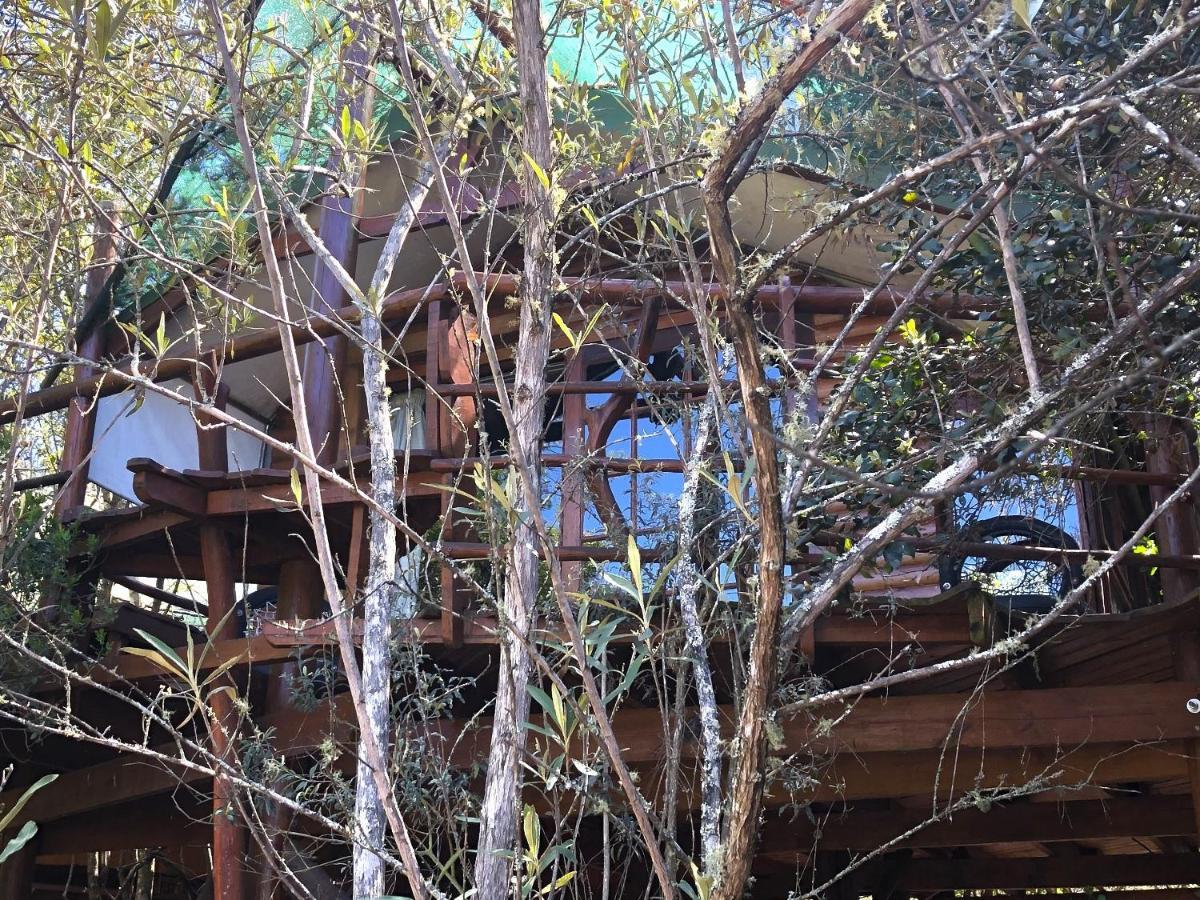 Teniqua Treetops Karatara Settlement Buitenkant foto