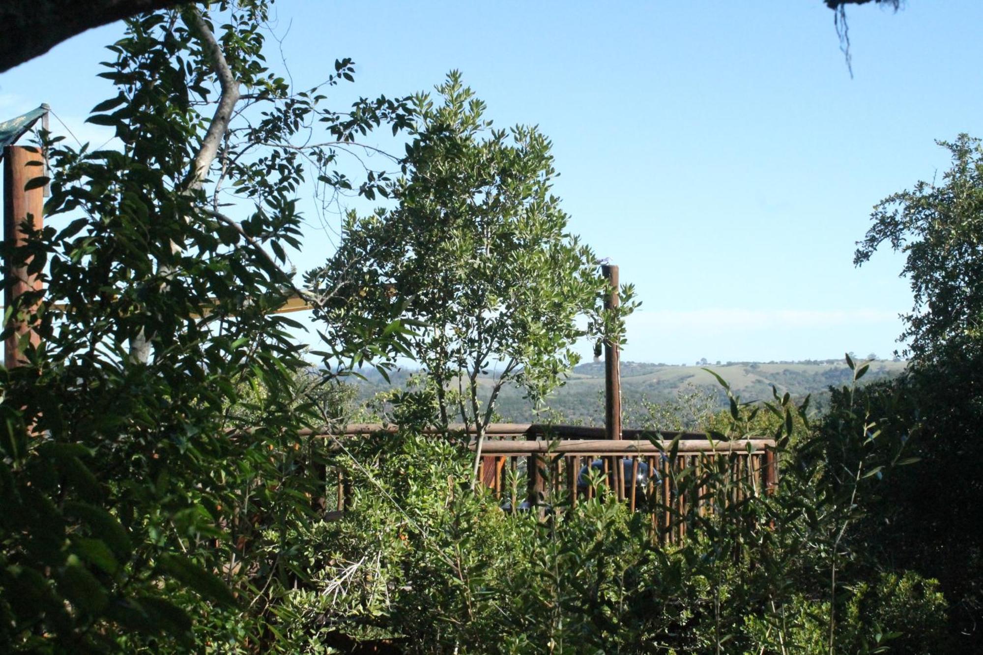 Teniqua Treetops Karatara Settlement Buitenkant foto
