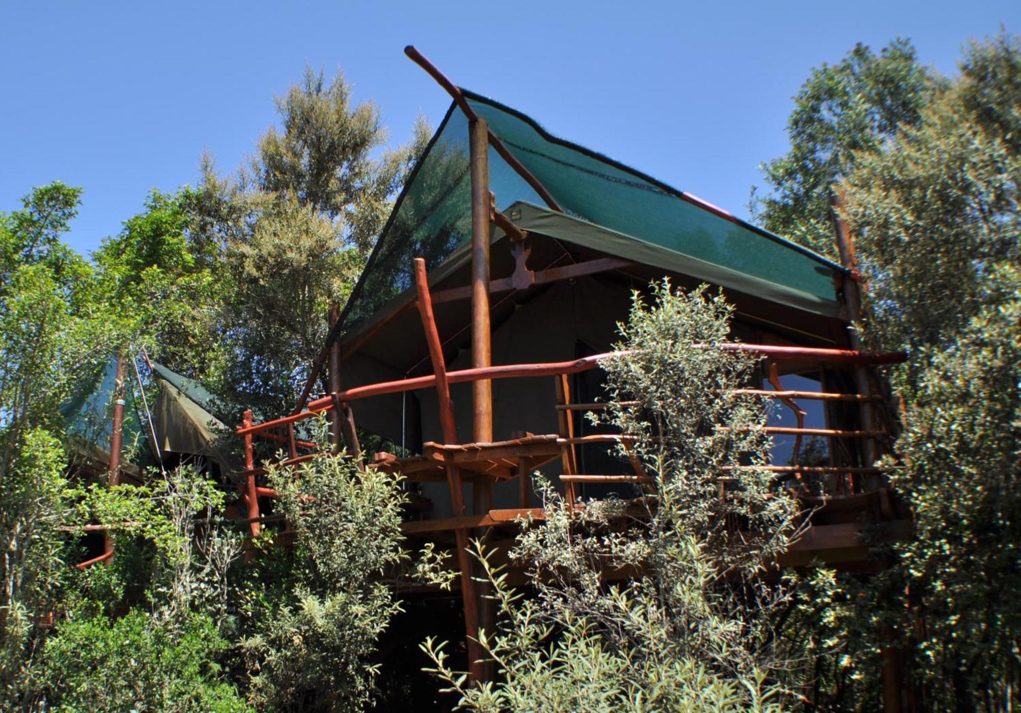 Teniqua Treetops Karatara Settlement Buitenkant foto