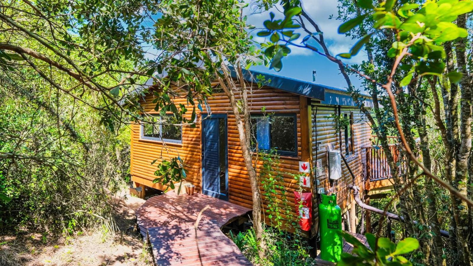 Teniqua Treetops Karatara Settlement Kamer foto