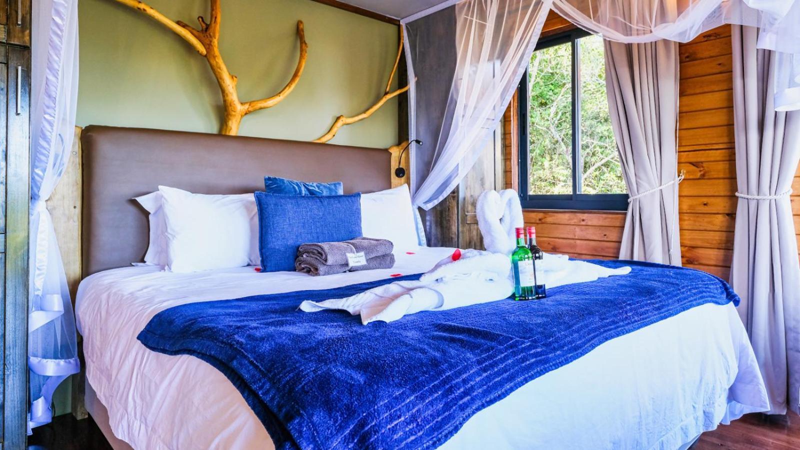 Teniqua Treetops Karatara Settlement Kamer foto