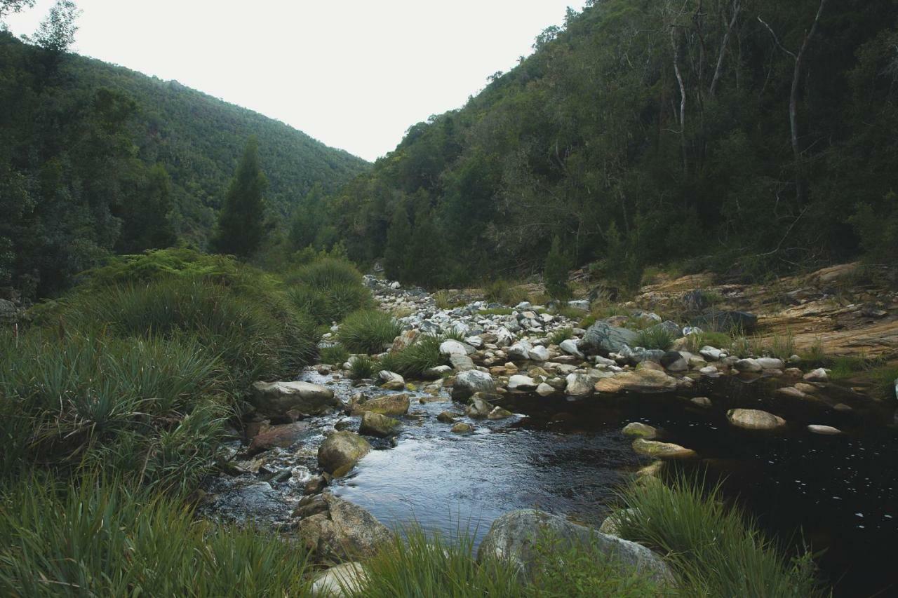Teniqua Treetops Karatara Settlement Buitenkant foto