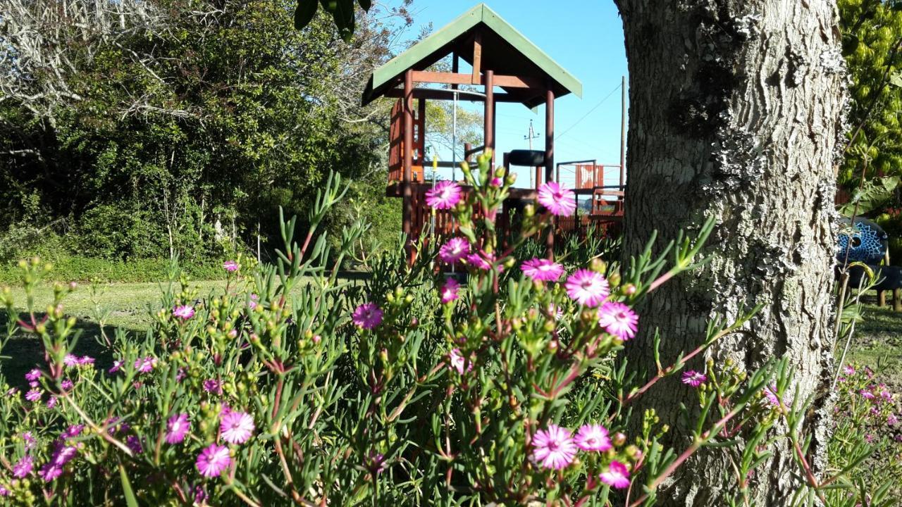 Teniqua Treetops Karatara Settlement Buitenkant foto